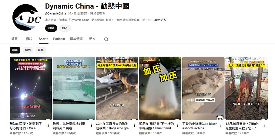 觀看次數頻道分析