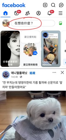 如何在 FB 貼文加入音樂步驟一