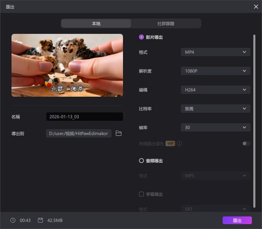 匯出歌詞或字幕（示意）