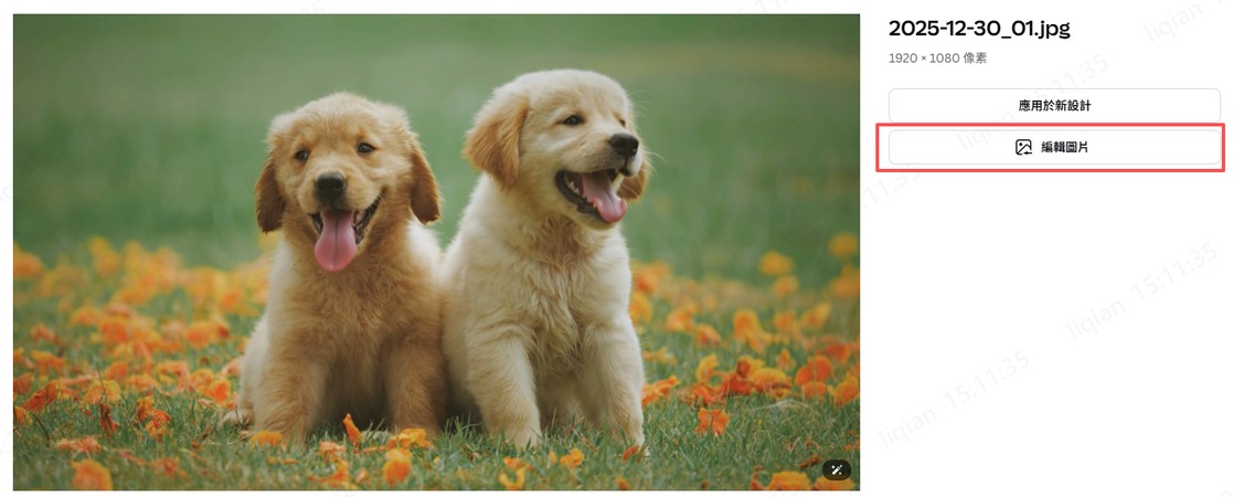 Canva 圖片去背：編輯圖片