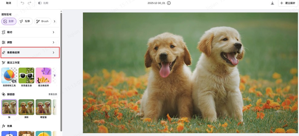 Canva 免費去背：像素橡皮擦