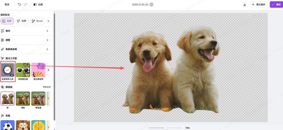 Canva 去背教學：使用背景移除工具