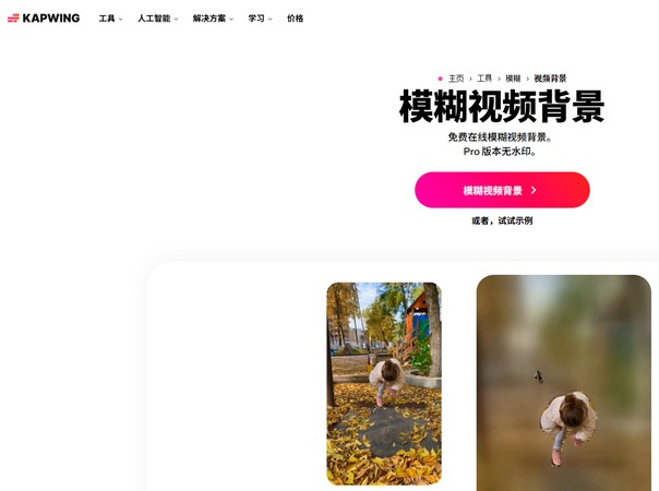 Kapwing 官方網站操作介面截圖