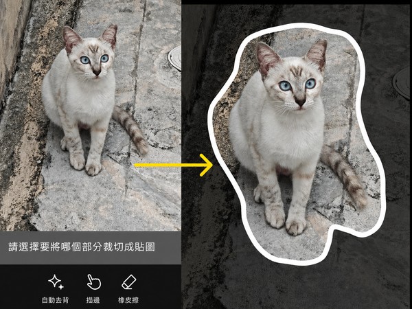 在 LINE 拍貼裁切與去背貼圖圖片
