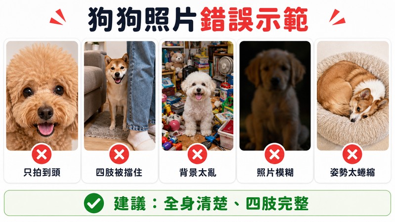 狗狗跳舞 AI 照片選擇要點