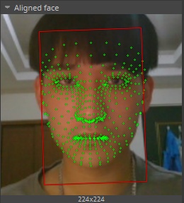 deepfacelive即時人像變換