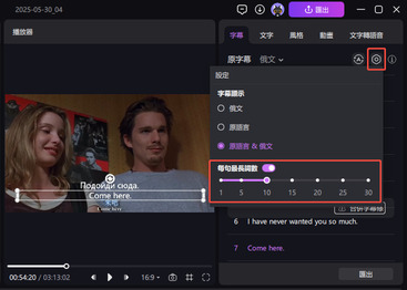 hitpaw edimakor ai 翻譯器 - 自訂字幕長度