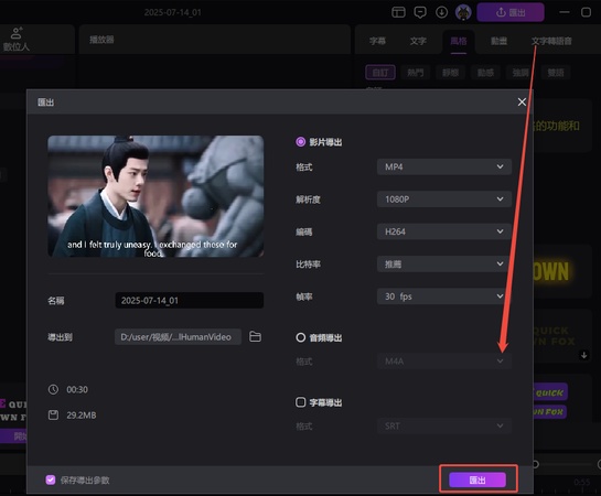 HitPaw Edimakor 匯出帶字幕影片設定示意圖